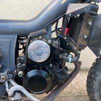 Malaguti Fifty Evolution Polini