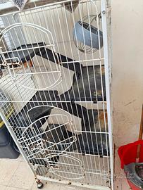 gabbia multipiani per conigli nano e altro