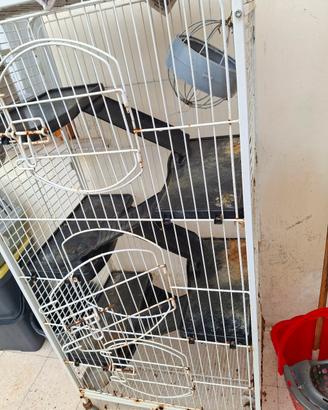 gabbia multipiani per conigli nano e altro