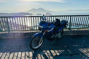 honda transalp