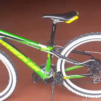 Mountain bike