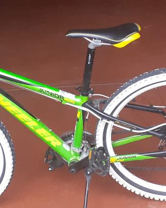 Mountain bike