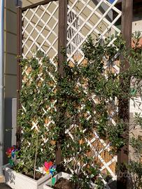 Grigliati in legno da giardino