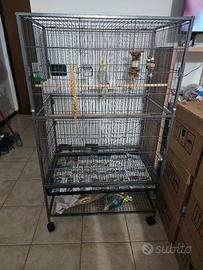 gabbia per uccelli 