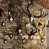 Corna e palchi da caccia vintage- decorazioni