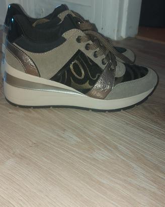 scarpe  geox 