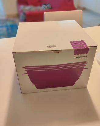 Micro Urban Large Tupperware 