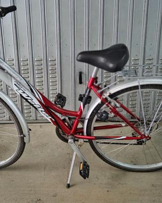 Bicicletta unisex