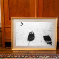 Stampa con cornice  70x50 foto Vecchiesso