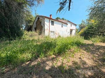 Rudere con terreno N/542
