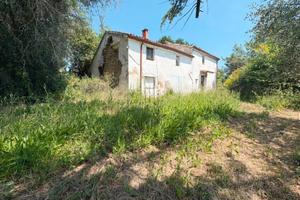 Rudere con terreno N/542