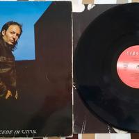 DISCHI IN VINILE: LP 33 GIRI RARI