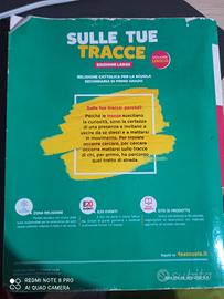 sulle tue tracce