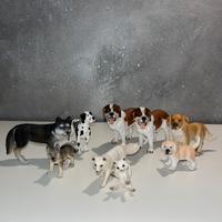 Cani schleich
