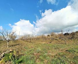 Rif.GL301| terreno agricolo belpasso