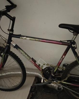 Bicicletta Mountain bike 