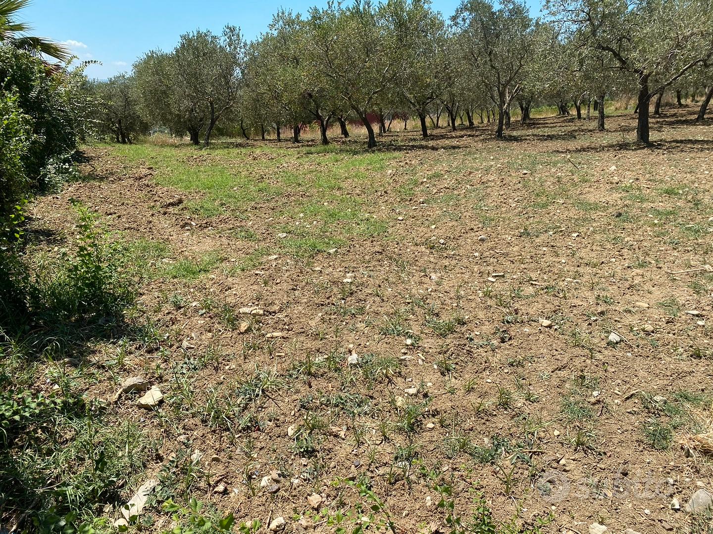 Terreno panoramico - Vista 4