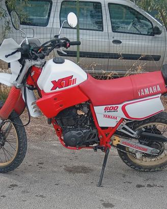 xt600
