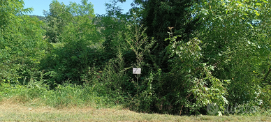 Terreno agricolo boschivo in Berzano San Pietro