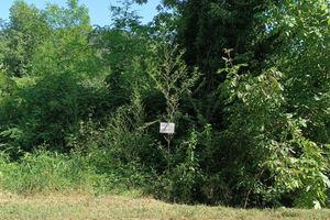 Terreno agricolo boschivo in Berzano San Pietro