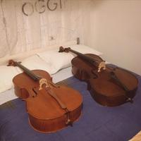 Violoncello da studio