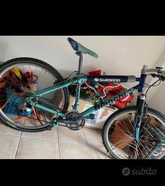 Bici Bianchi
