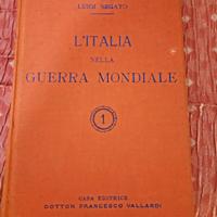 Volumi sulla prima guerra mondiale