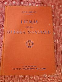 Volumi sulla prima guerra mondiale