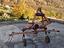 Immagine 4