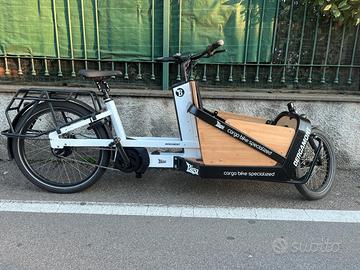 Cargobike Bergamont