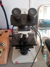 Microscopio Leitz