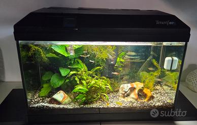 Acquario Askoll completo  