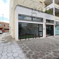 Negozio Copertino [COA 058ACG]