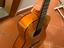 Immagine 5