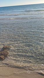 Gallipoli via rosmini 5 libero luglio fronte mare