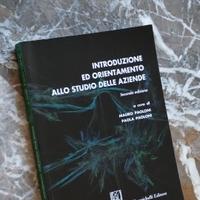 Introduzione studio aziende