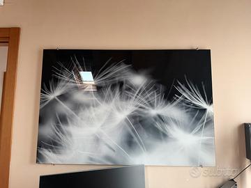 Stampa vetro B/N 120x80