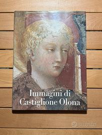 Volume d’arte - Immagini di Castiglione Olona