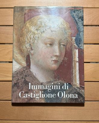 Volume d’arte - Immagini di Castiglione Olona