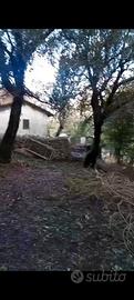 Rustico