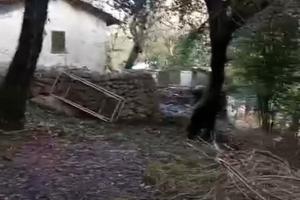Rustico