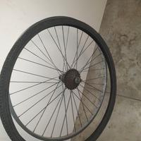 Cerchio posteriore bici uomo