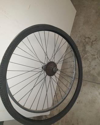 Cerchio posteriore bici uomo