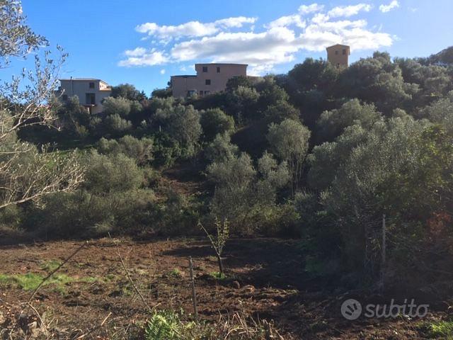 Terreno agricolo | San Teodoro - Vista 5