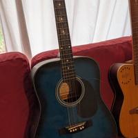 Chitarra acustica Ranger EKO Roling's