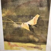 Acquaforte natura morta A. Biancalani 50x70