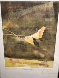 Acquaforte natura morta A. Biancalani 50x70