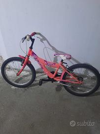 bicicletta