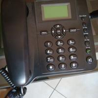 Telefono senza fili fisso (LS-960)
