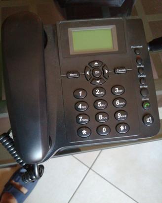 Telefono senza fili fisso (LS-960)